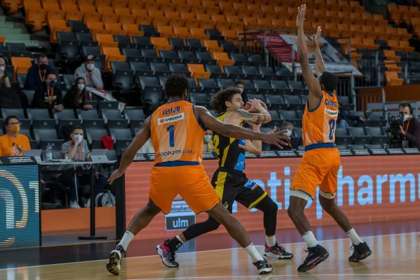 体育运动的 体育运动的