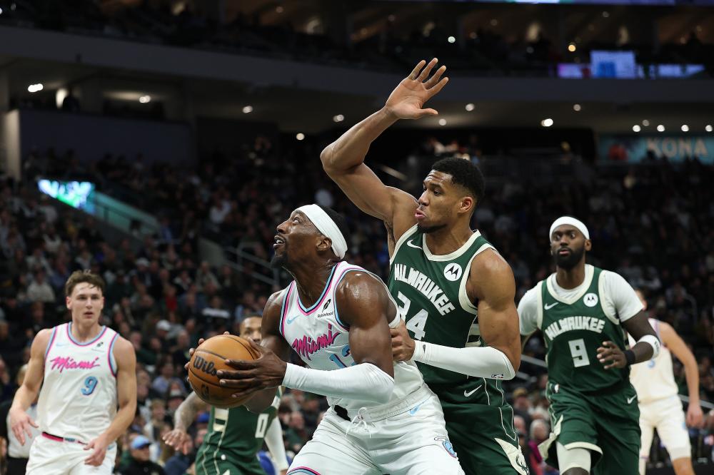 种下了坚韧 种下了坚韧